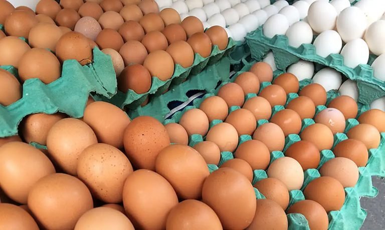 b319b5d8-e89e-47e2-9396-be30352e6ce7